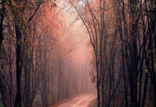 6686官网：CBA：山西男篮大胜天津先行者 收获两连胜2025-01-16.