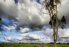 6686官网：记者：海港全新5外援组合仍具备相当实力，申花外援身价低不少.