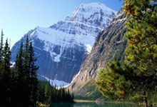 世界围棋团体锦标赛更新规则 棋盘外情况均不处罚新华网.